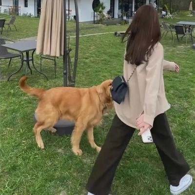 盲眼的基督
